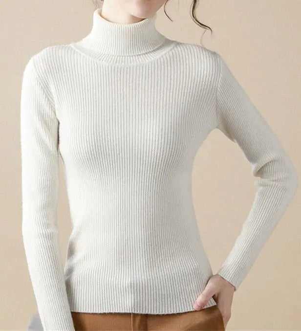 Heliar women's slim fit turtleneck sweater in soft cashmere knit, perfect for fall and winter, stylish and cozy for autumn.