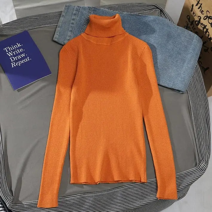 Heliar women's slim fit turtleneck sweater in soft cashmere knit, perfect for fall and winter, featuring a cozy, stylish design.