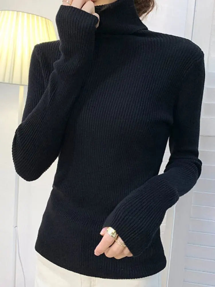 Heliar women's slim fit cashmere turtleneck sweater in soft knit, perfect for fall and winter, shown in a cozy autumn setting.