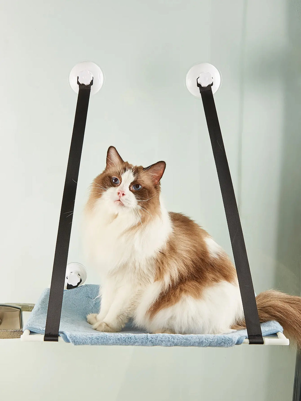 Double layer window suction cat bed by Petlead, showcasing a cozy hanging hammock with a playful cat sitting inside.