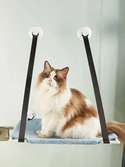 A fluffy cat sits on a blue fabric window hammock suspended by suction cups and black straps.