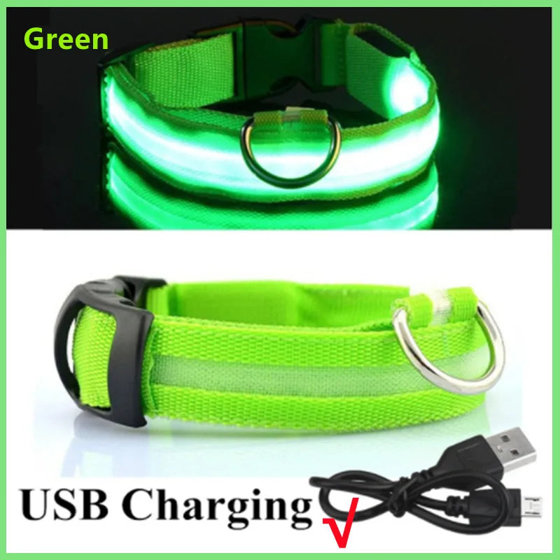 Showlu Fashion COOYOMOO USB rechargeable LED glowing dog collar with adjustable nylon harness for visibility and safety.
