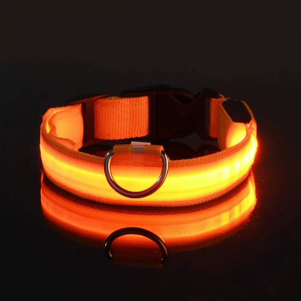 Nylon LED dog collar glowing in the dark with flashing light for night safety, designed for pets' visibility and security.