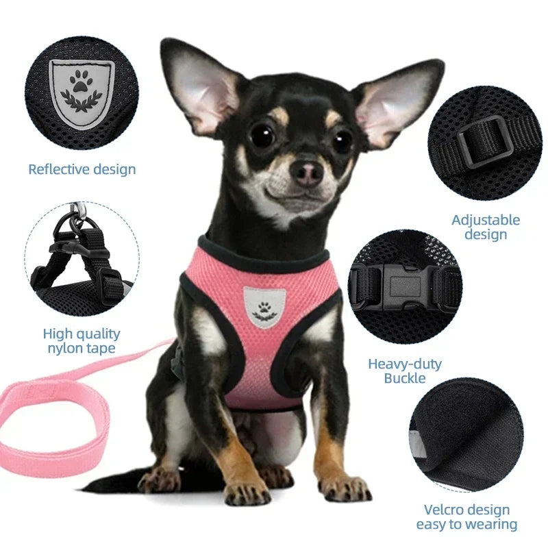 Adjustable polyester cat harness vest with leash for small to medium dogs, featuring mesh design and secure collar for pet walking.