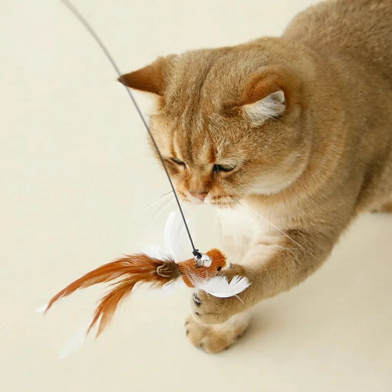 Showlu Smart General cat feather teaser wand with colorful feathers and a long handle for interactive play with cats.