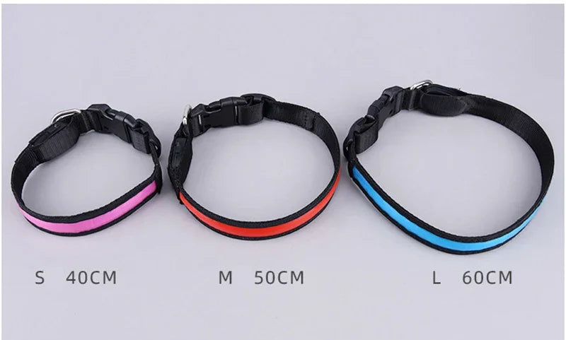 LED luminous dog collar by Showlu Smart General, USB rechargeable safety night collar with bright illumination for pets.