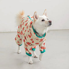 A white dog wears a beige hooded raincoat featuring a red tomato pattern and green trim.