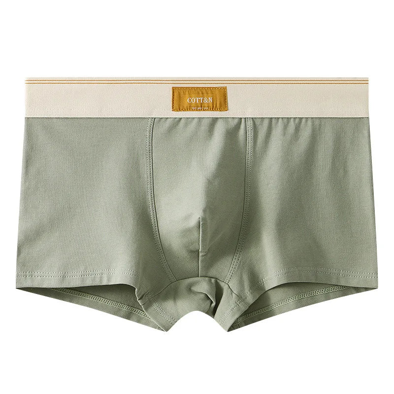 Men's cotton breathable boxer briefs from Showlu Fashion, comfortable and sexy underwear in teen and plus sizes.
