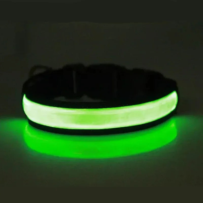 Showlu Smart General LED luminous dog collar with USB rechargeable safety night glow, adjustable for nighttime visibility.