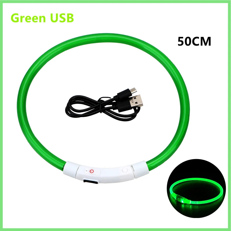 Showlu Fashion USB rechargeable LED glowing dog collar with adjustable nylon harness, featuring bright illumination for visibility.