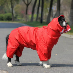 A black and white dog wears a bright red, full-body waterproof raincoat with a hood.