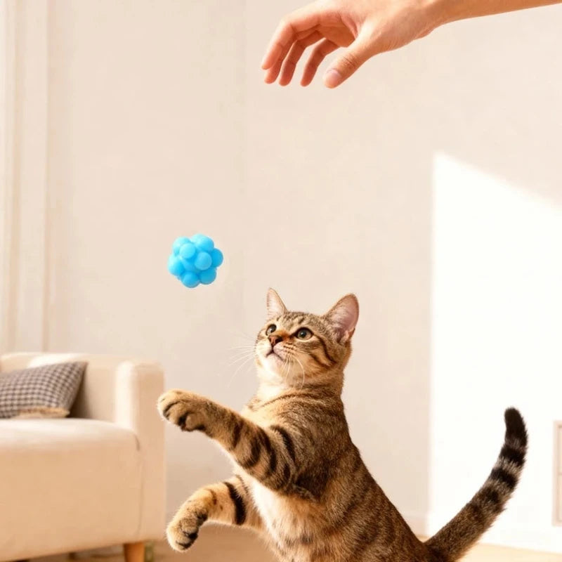 Cat Chew Ball Toy Silicone High Elasticity Bite-resistant Kitten Toy Cat Toy Supplies Teeth Cleaning Interactive Ball