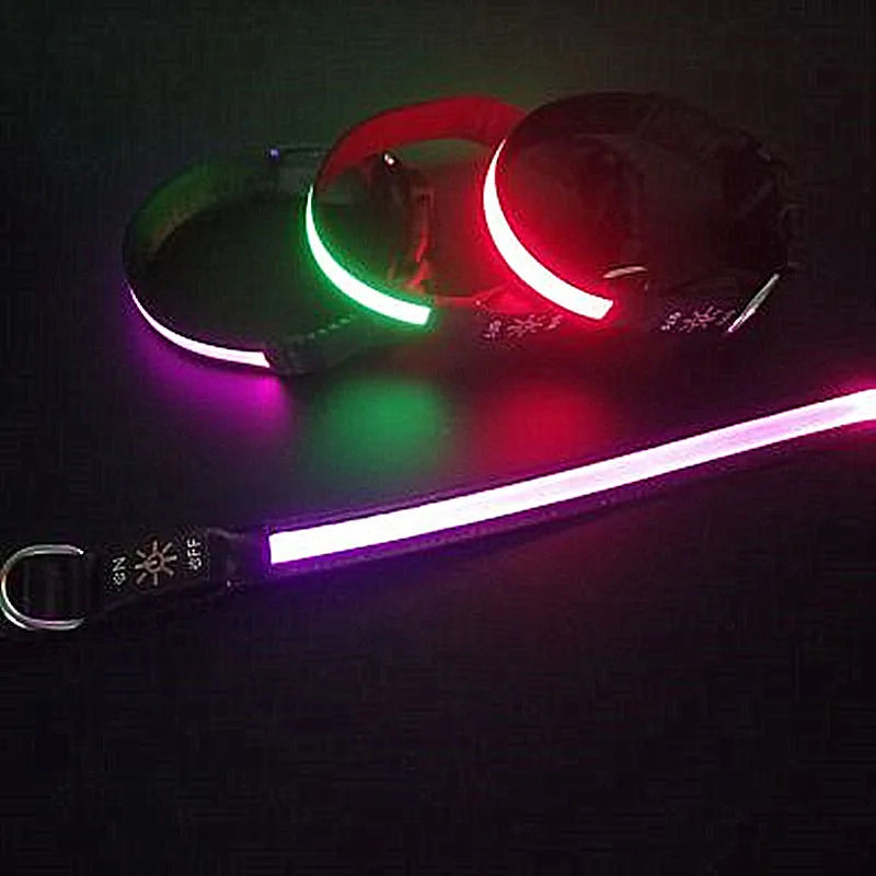 Showlu Smart General LED luminous dog collar with USB rechargeable safety light, ideal for night walks and visibility.