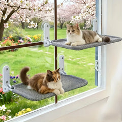 Two cats rest on foldable, suction-mounted window hammocks with grey fabric and iron frames.