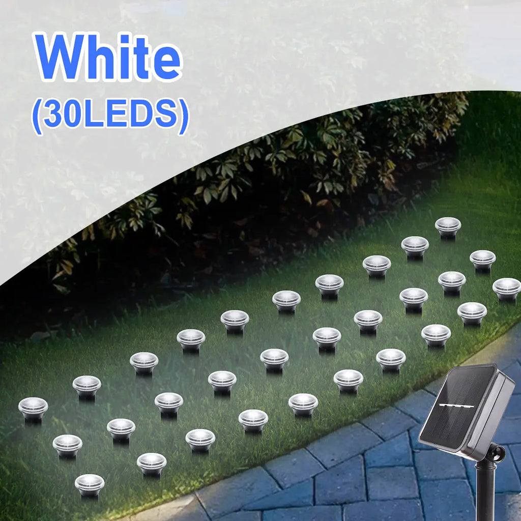 Solar LED garden pathway lights with 8 lighting modes, outdoor landscape lighting by Showlu Fashion Store.
