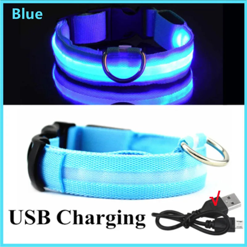 Rechargeable LED glowing dog collar from COOYOMOO, adjustable nylon harness with bright illumination for visibility and safety.