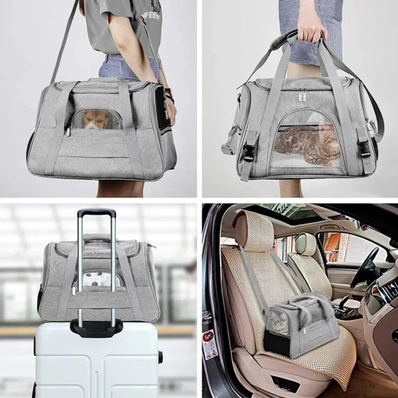 Showlu breathable dog carrier backpack with cushion, designed for comfortable pet travel and outdoor adventures.