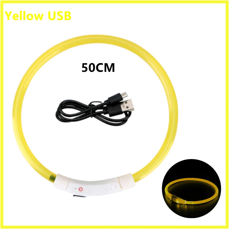 Showlu Fashion's COOYOMOO USB rechargeable LED glowing dog collar with adjustable nylon harness, lit up in a nighttime outdoor setting.