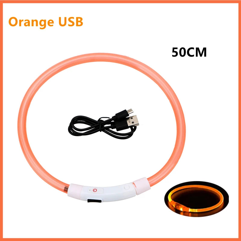 Showlu Fashion COOYOMOO USB rechargeable LED glowing dog collar with adjustable nylon harness, illuminated for nighttime visibility.