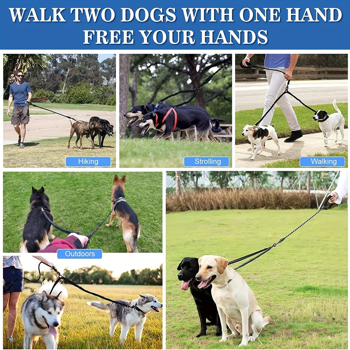 Showlu Double Dog Leash with reflective nylon shock-absorbing coupler for walking two dogs simultaneously.