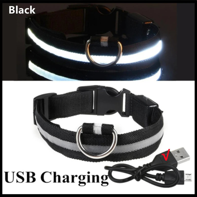 Rechargeable LED glowing dog collar by COOYOMOO, adjustable nylon harness with bright illumination for visibility and safety.