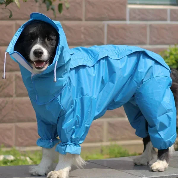Large dog wearing Showlu Waterproof Raincoat Hoodie with PU leather poncho, designed for outdoor protection in wet weather