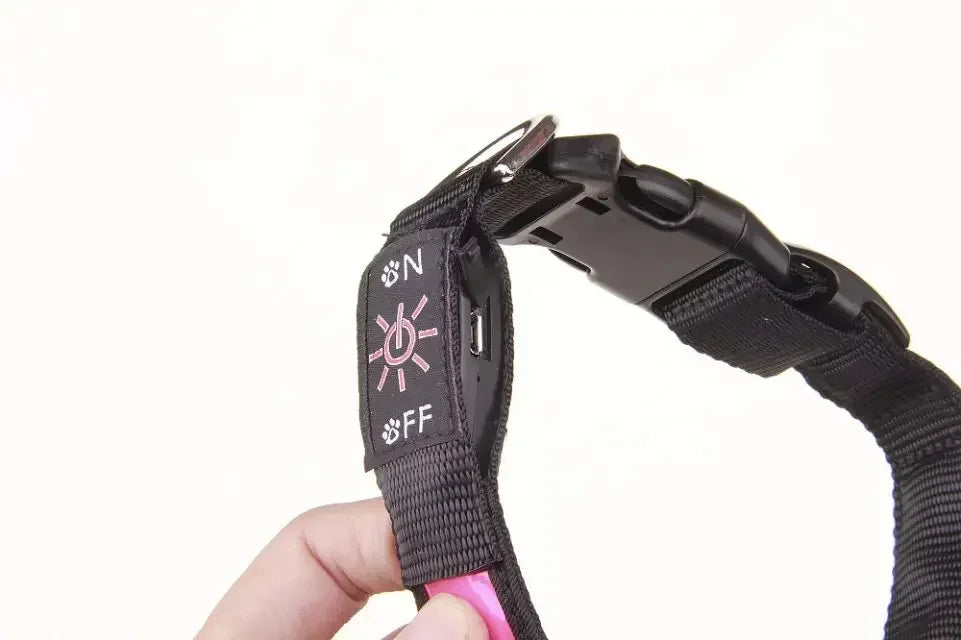 LED luminous dog collar from Showlu Smart General with USB rechargeable safety night illumination, adjustable for outdoor walks.