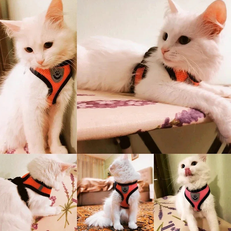 Showlu Fashion Store cat harness vest with leash, adjustable mesh pet harness for small to medium dogs and puppies, polyester material