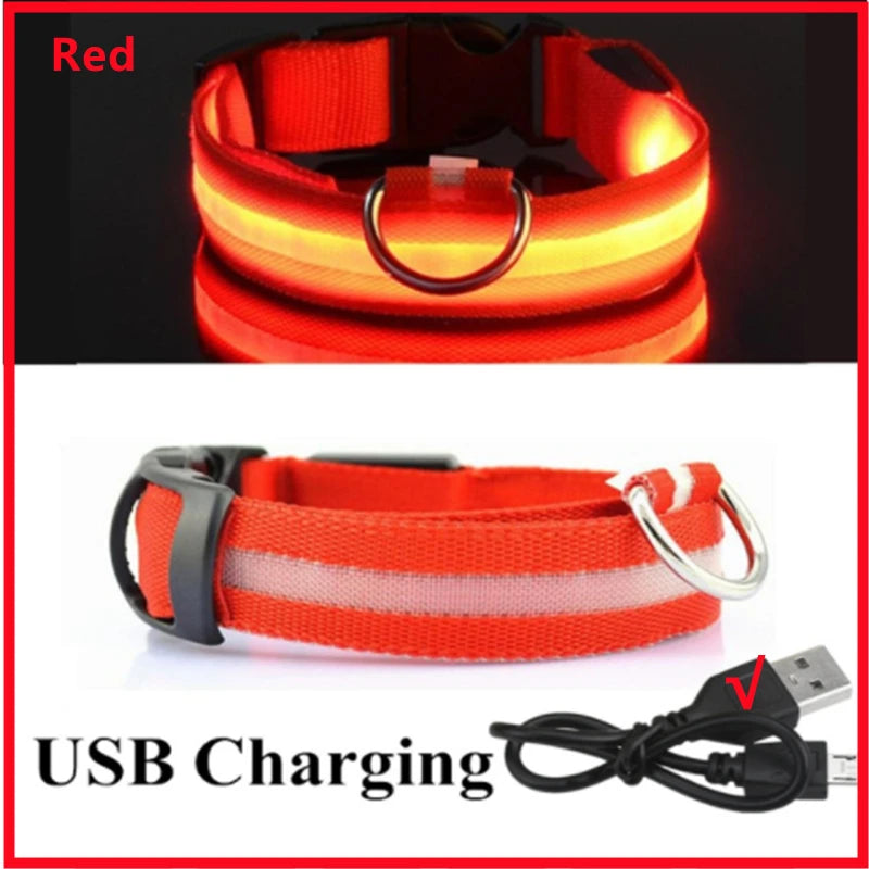 Showlu Fashion's COOYOMOO USB rechargeable LED dog collar with adjustable nylon harness, glowing for visibility during walks.