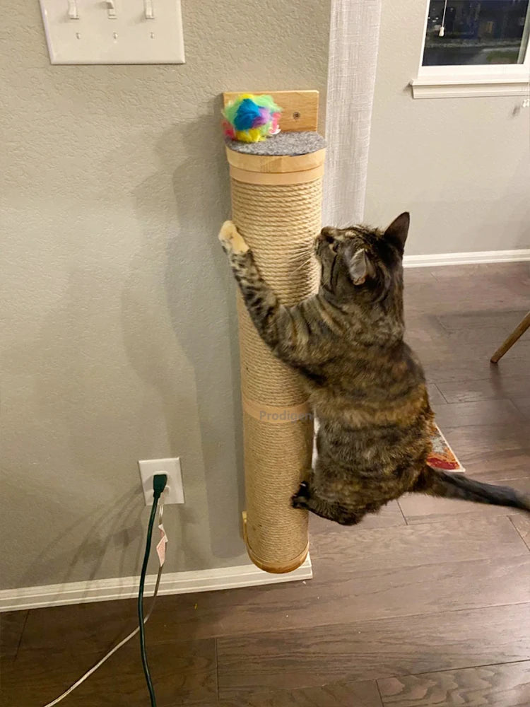 Showlu Wood Wall Mounted Cat Scratching Post with thick wooden posts and scratching surfaces, designed for kittens and cats.