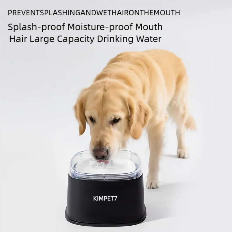 Large capacity spill-proof water bowl for dogs and pets, showing a durable slow-drinking dispenser with a 2000ml capacity.