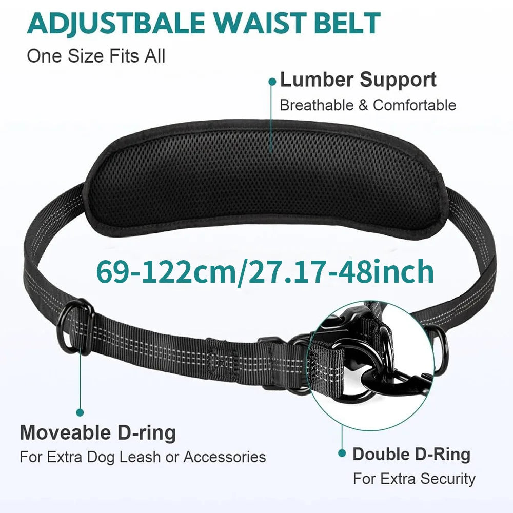DCLOUD hands-free dual dog leash with pouch for medium and large dogs, shown in black with adjustable straps and ergonomic design.