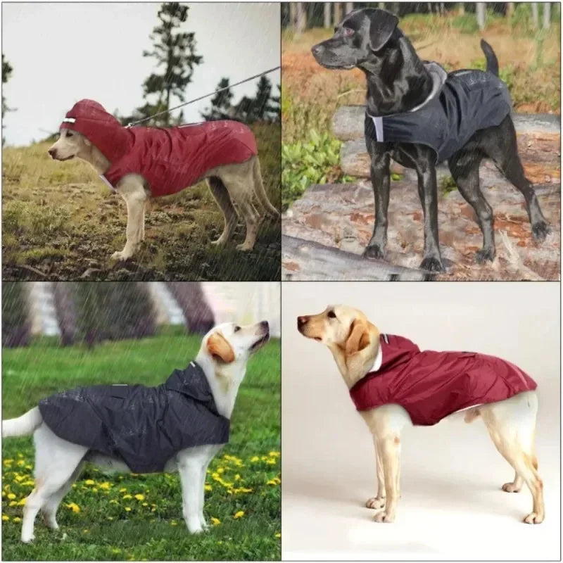 Showlu waterproof dog raincoat with reflective hood and adjustable fit, suitable for all dog sizes, in a vibrant color.
