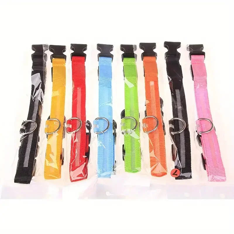 LED glow dog collar and safety night leash by Showlu Smart General, illuminated for visibility during evening walks.