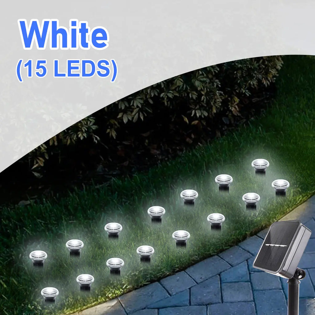 Solar LED garden pathway lights with 8 lighting modes, outdoor waterproof design, ideal for illuminating walkways and garden paths.