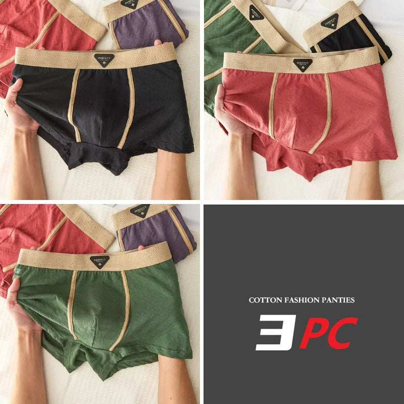 Men's MAIMENGGO 100% cotton boxer shorts, antibacterial underwear 3-pack, soft and breathable men's underwear in neutral colors.