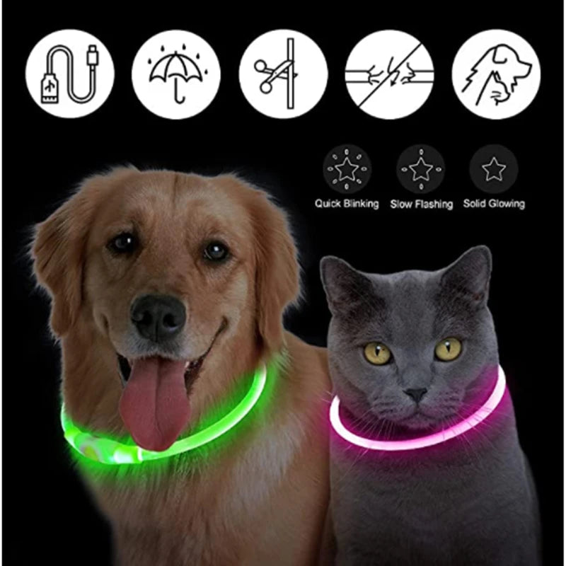 Showlu Fashion USB rechargeable LED glowing dog collar with adjustable nylon harness, visible in the image.