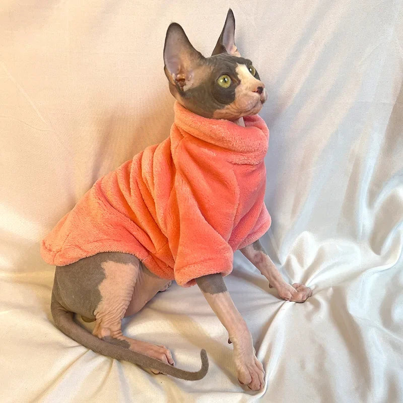 Sphynx cat wearing Wang Shan Meow Sphynx Cat Hoodie, cotton winter pet jumpsuit in black with hood and paw details