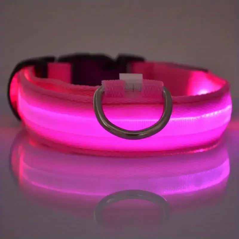 LED Glow Dog Collar and Night Leash by Showlu Smart General, illuminated safety gear for nighttime outdoor walks.