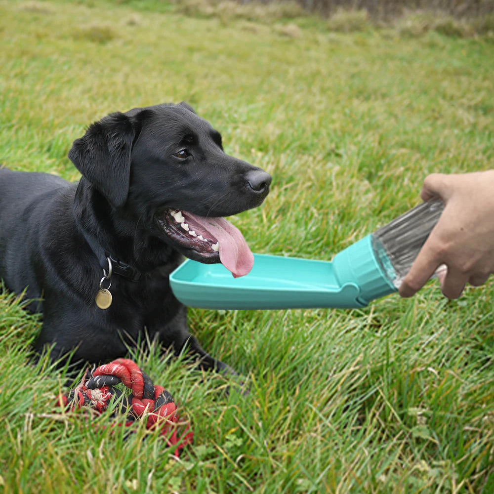 Holapet portable dog water bottle with foldable outdoor pet drinking bowl, compact and convenient for walking dogs.