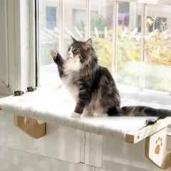 A fluffy cat sits on a wooden window hammock featuring a decorative paw print cutout.