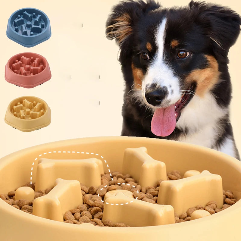 Showlu Fashion Store slow feeder dog bowl with non-slip base, designed for cats and dogs to promote slow eating and reduce digestion issues.