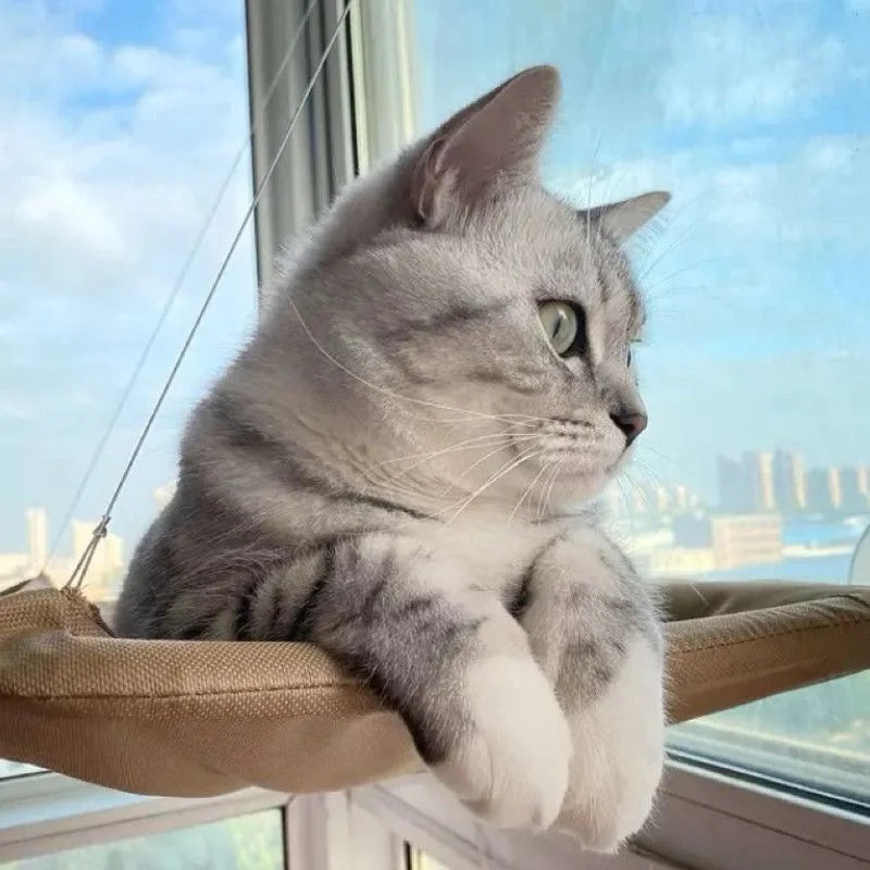 Showlu Fashion Store Qlfyuu cat window hammock with soft cushion, hanging sunny seat bed for feline relaxation and comfort.