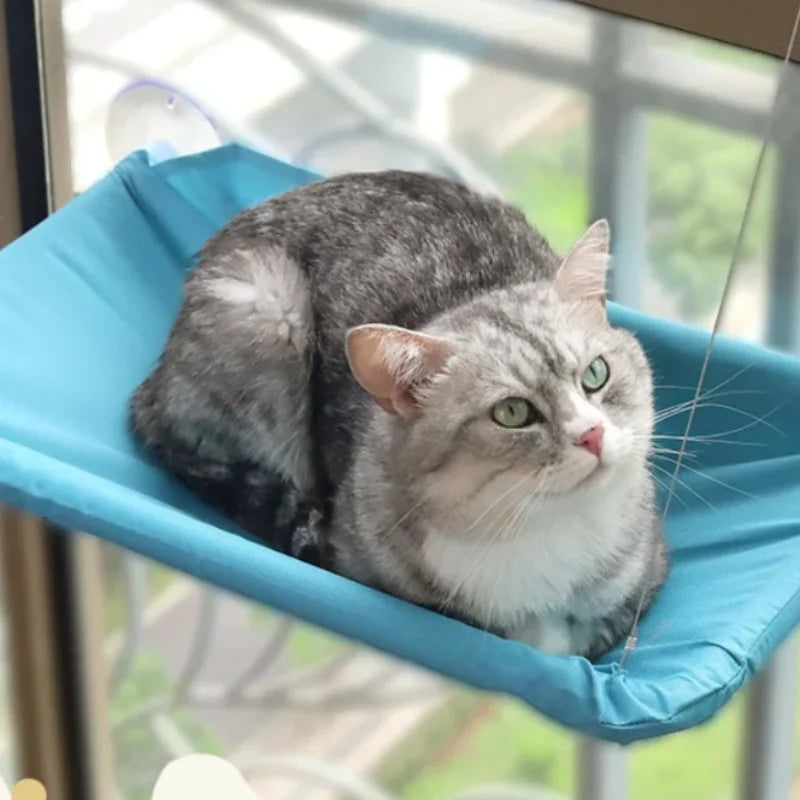 Showlu Cat Window Hammock, breathable hanging bed for cats up to 20kg, shown attached to a window with a cat relaxing inside.