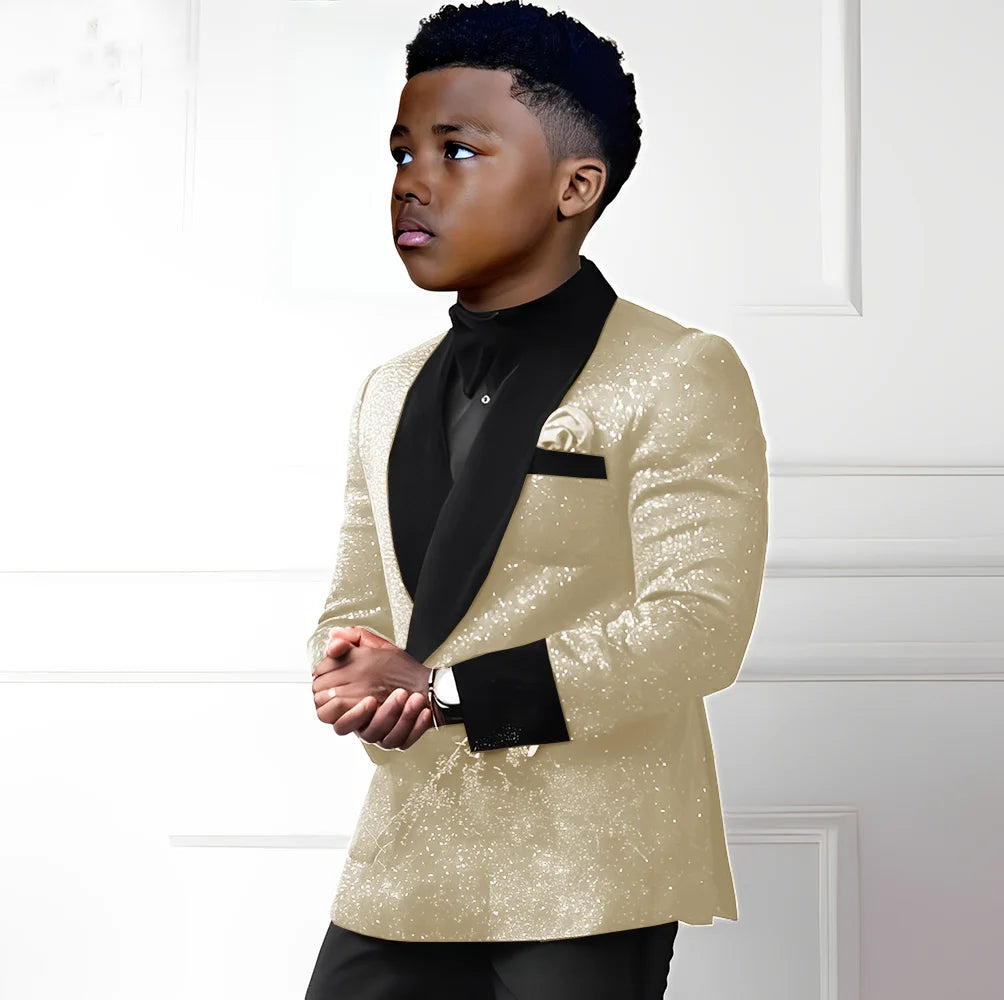 Sequin boys suit 2-piece set with double-breasted blazer and pants, stylish kids tuxedo for boys ages 2-16.
