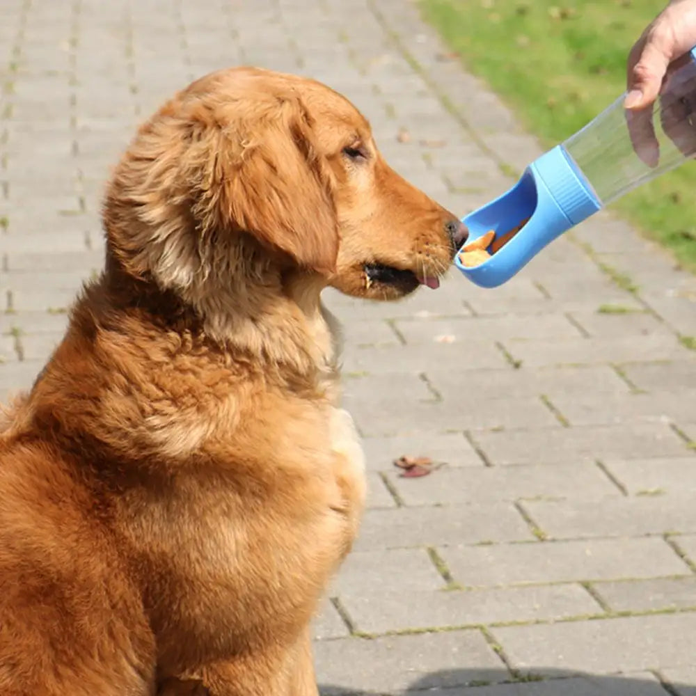 Showlu Smart General pet portable water bottle with a compact design, featuring a built-in water bowl for easy hydration on the go.