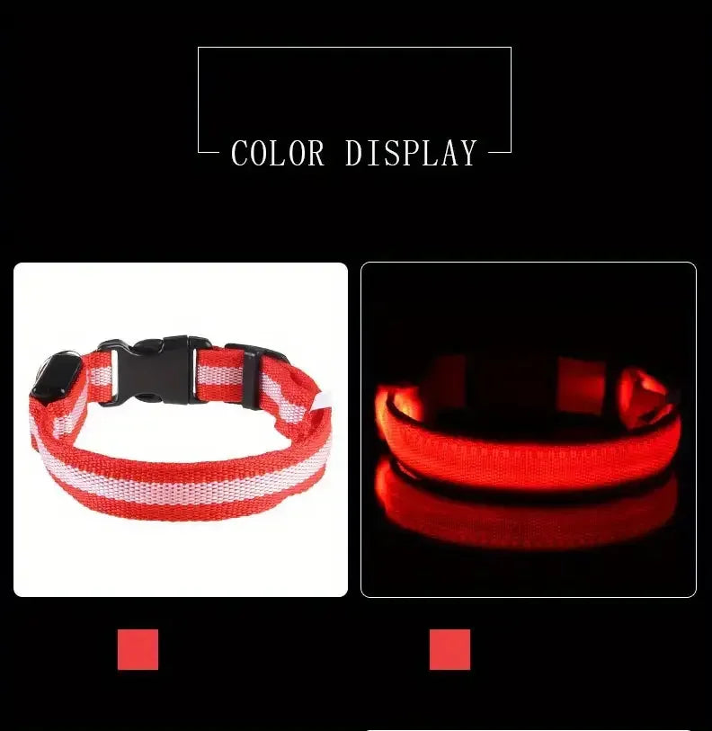 LED glow dog collar and safety night leash by Showlu Smart General, featuring bright illumination for nighttime visibility.