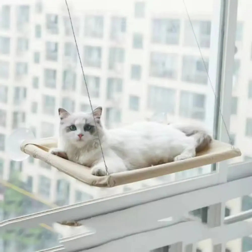 Showlu Fashion Cat Window Perch with durable, detachable hanging bed and hammock for comfortable outdoor lounging.