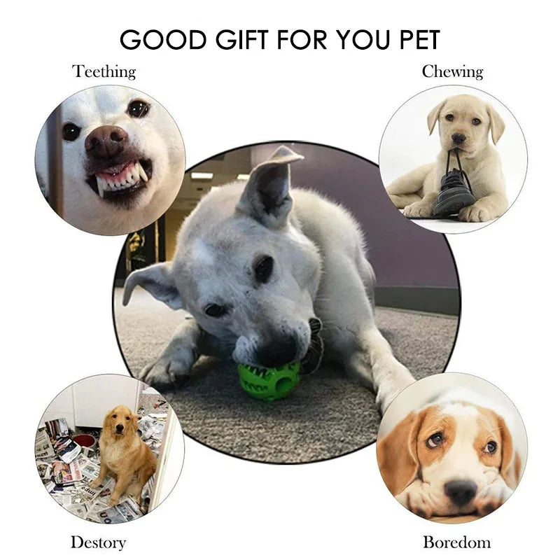 Showlu Smart General interactive dog chew ball with rubber design, treat dispensing feature, ideal for puppy teeth cleaning and training.