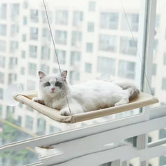 A white cat rests on a beige window-mounted cat hammock attached to glass with suction cups.
